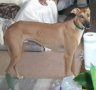 rusty_2003