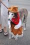 cowgirlhound_costume