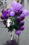 grapes_costume