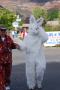 rabbit_costume