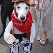 cowboyhound_costume