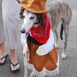 cowgirlhound_costume