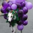 grapes_costume