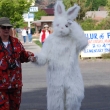 rabbit_costume