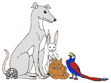 greyhound_animals_cartoon