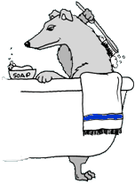 greyhound_bath_cartoon