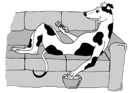 greyhoundonsofa_cartoon