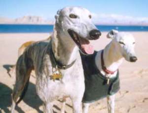 Winslow & Kenya at Lake Powell