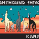 Greyhound Shivoo Kanab